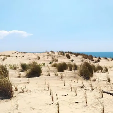 Holiday home Maison Avec Piscine Commune - La Palmyre, 6 Pers - Fr-1-705-42