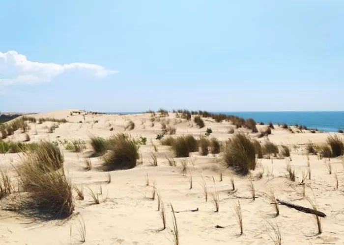 Maison Avec Piscine Commune - La Palmyre, 6 Pers - Fr-1-705-42