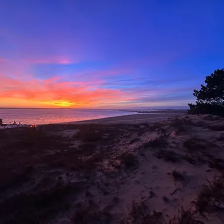 Maison Avec Piscine Commune - La Palmyre, 6 Pers - Fr-1-705-42 *