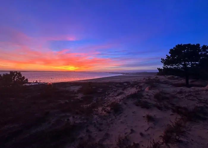 Maison Avec Piscine Commune - La Palmyre, 6 Pers - Fr-1-705-42 * Les Mathes